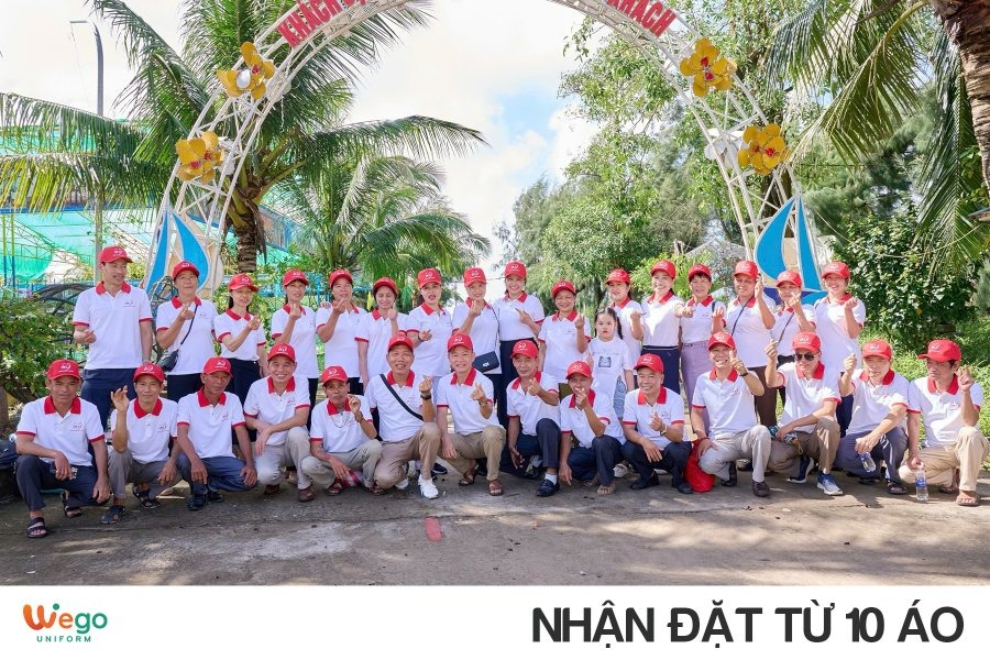 ao thun phong team building