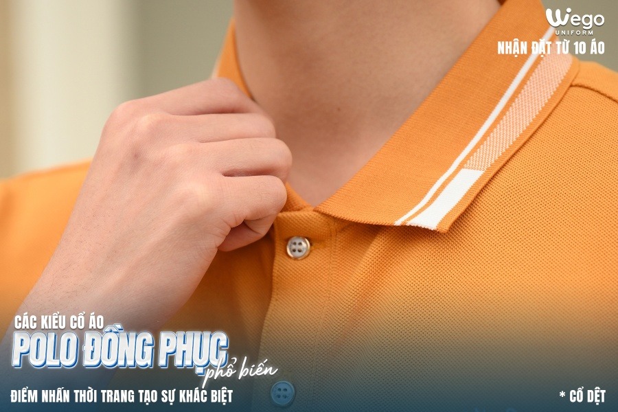 ao polo dong phuc